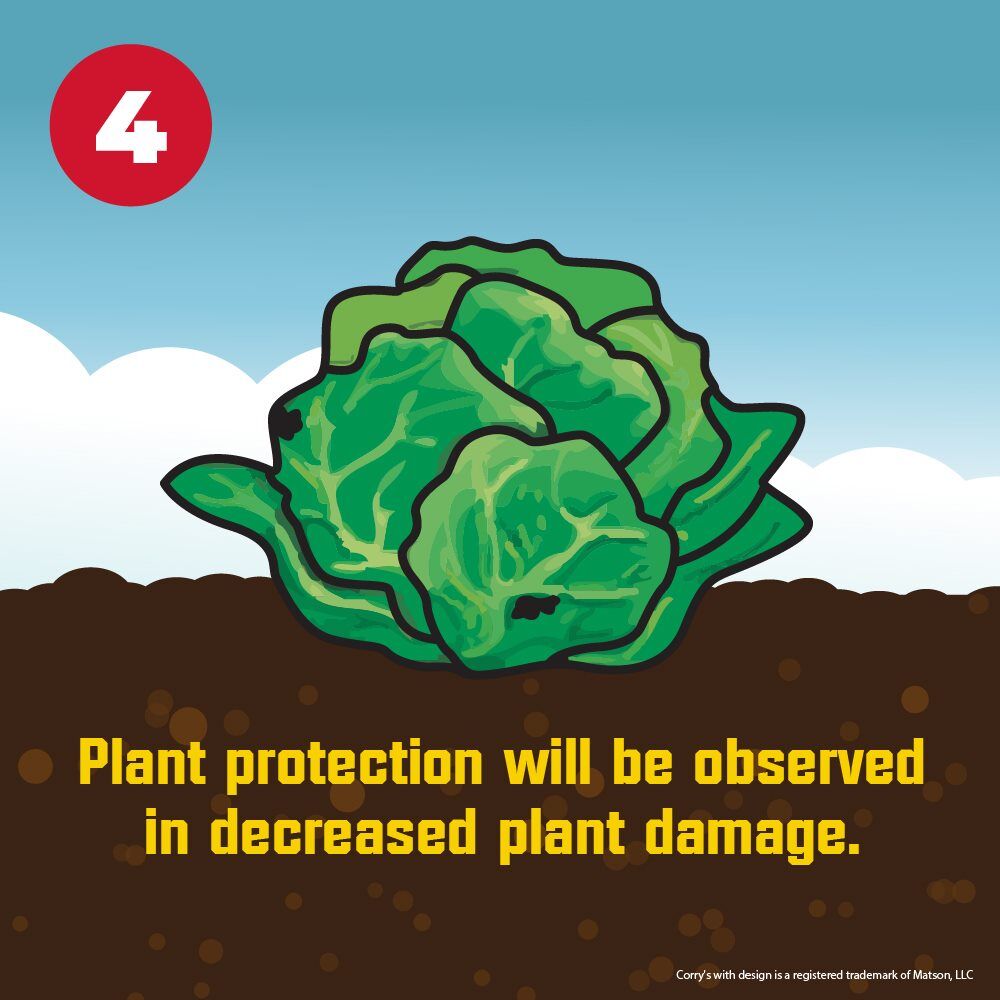 Corry's Slug & Snail Killer Ready-To-Use Pellets, 3.5-Lb