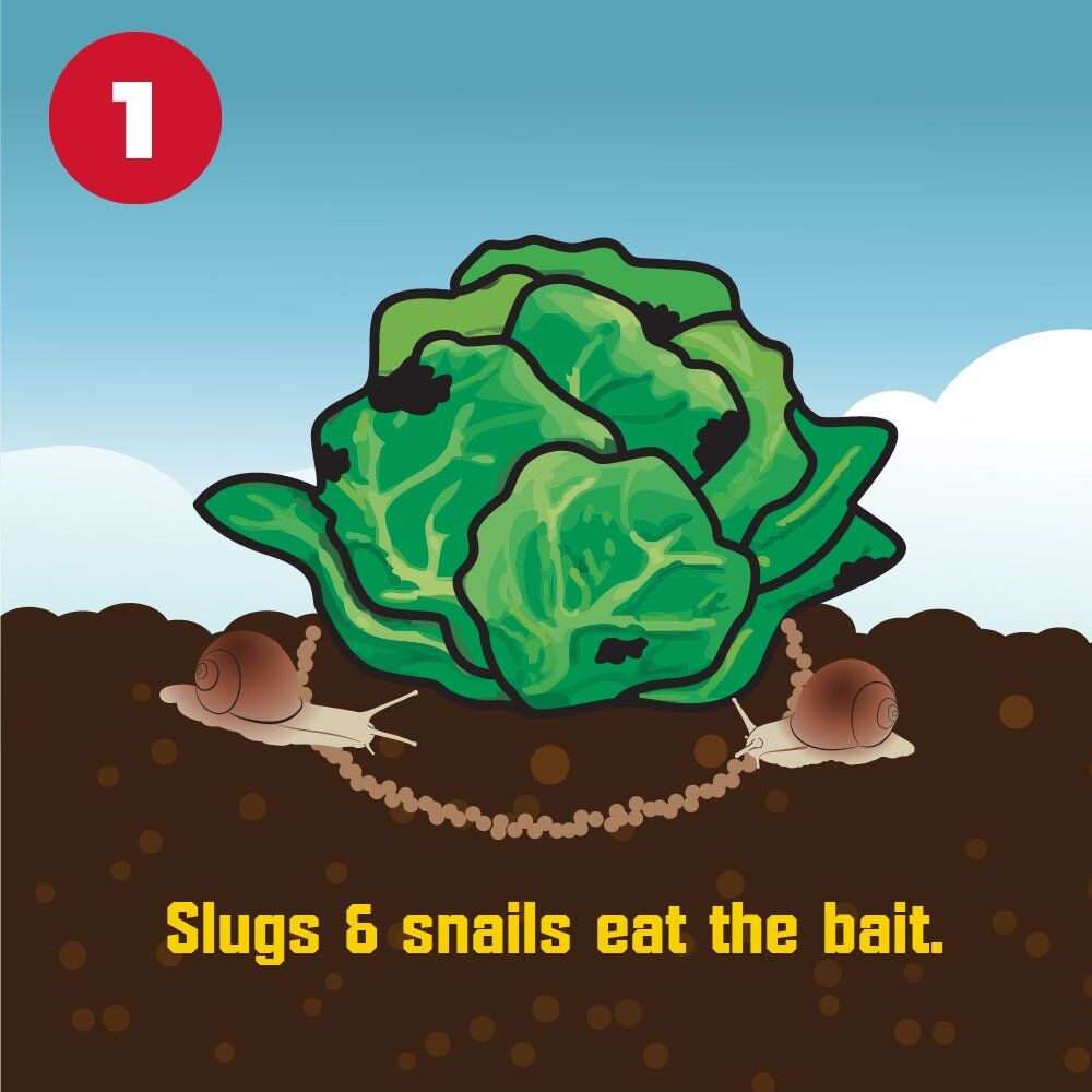 Corry's Slug & Snail Killer Ready-To-Use Pellets, 3.5-Lb