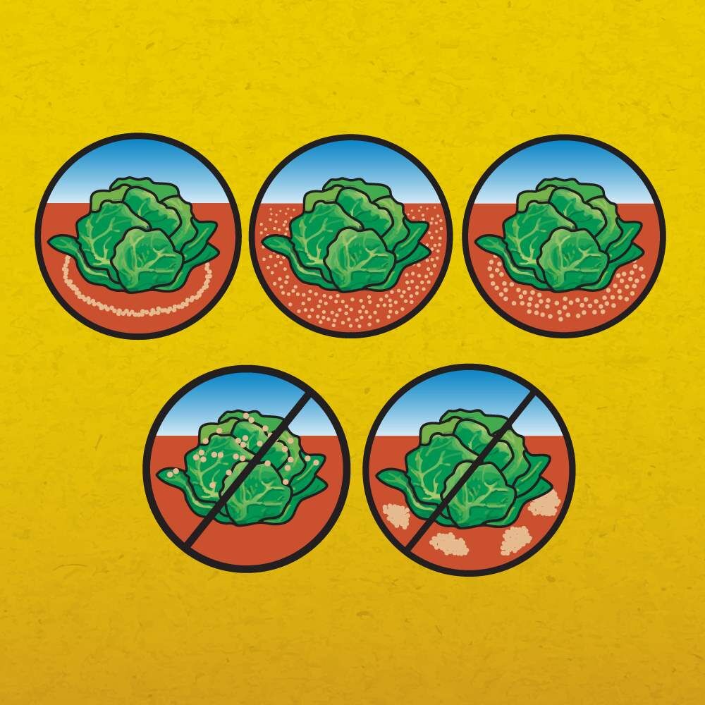 Corry's Slug & Snail Killer Ready-To-Use Pellets, 3.5-Lb