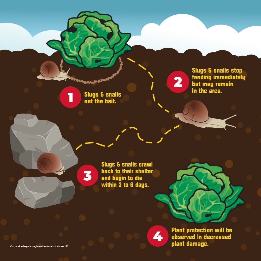 Corry's Slug & Snail Killer Ready-To-Use Pellets, 3.5-Lb