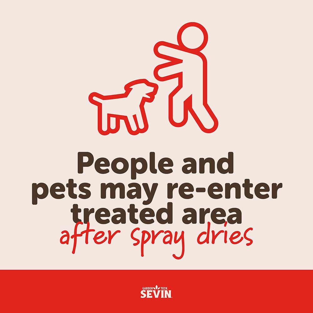 Sevin Insect Killer Ready To Spray - 1 qt