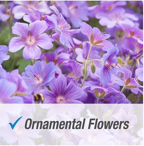 Pulverize Weed & Grass Killer Concentrate, 32-Oz