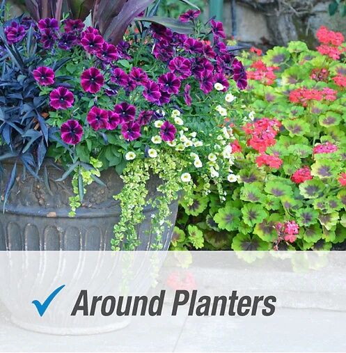 Pulverize Weed & Grass Killer Concentrate, 32-Oz