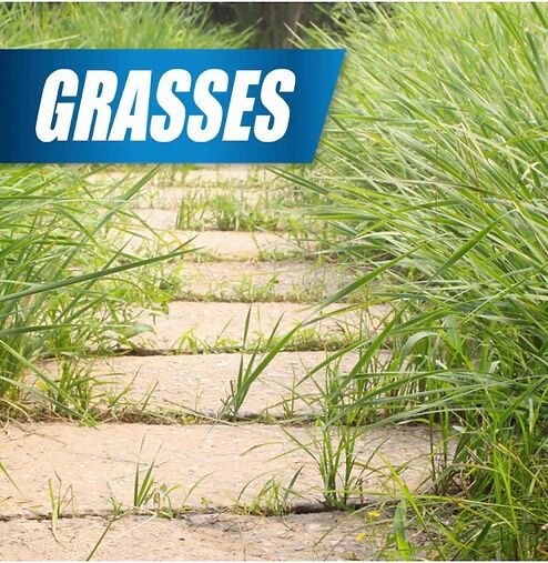 Pulverize Weed & Grass Killer Concentrate, 32-Oz