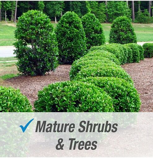 Pulverize Weed & Grass Killer Concentrate, 32-Oz