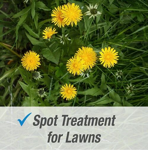 Pulverize Weed & Grass Killer Concentrate, 32-Oz