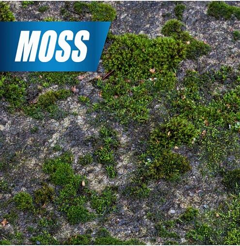 Pulverize Weed & Grass Killer Concentrate, 32-Oz