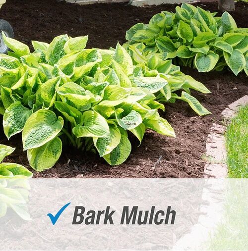 Pulverize Weed & Grass Killer Concentrate, 32-Oz