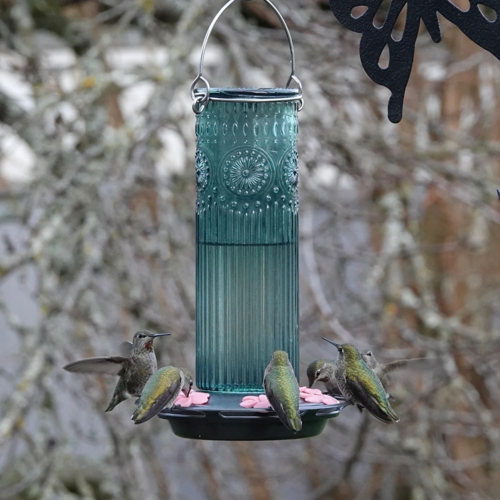 Nature's Way Antique Glass Gravity Hummingbird Feeder, 28-Oz