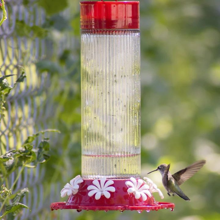 Nature's Way Ribbed Rose Gravity Hummingbird Feeder, 28-Oz