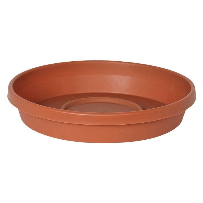 Bloem Terra Saucer Terra Cotta, 10-In