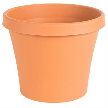 Bloem TerraPot Planter Terra Cotta, 10-In