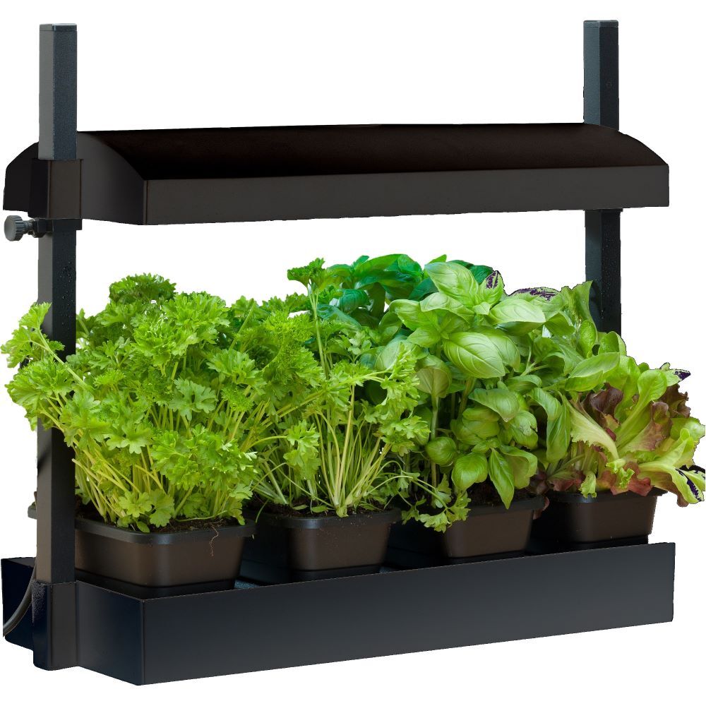 SunBlaster Glowlight Garden Micro Black