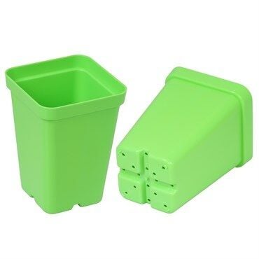 Sunpack Square Pot Green, 2.5-In