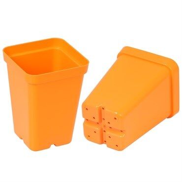 Sunpack Square Pot Orange, 2.5-In