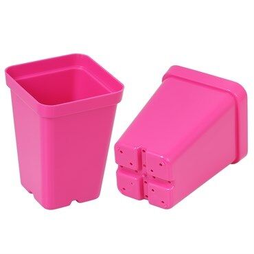Sunpack Square Pot Magenta, 2.5-In