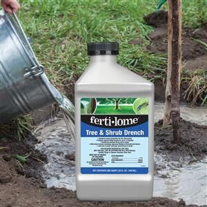 Ferti-Lome Tree & Shrub Drench, 32-Oz
