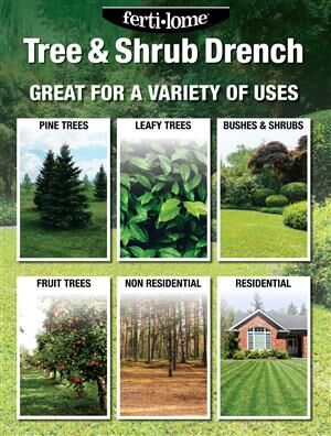 Ferti-Lome Tree & Shrub Drench, 32-Oz