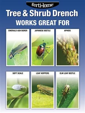 Ferti-Lome Tree & Shrub Drench, 32-Oz