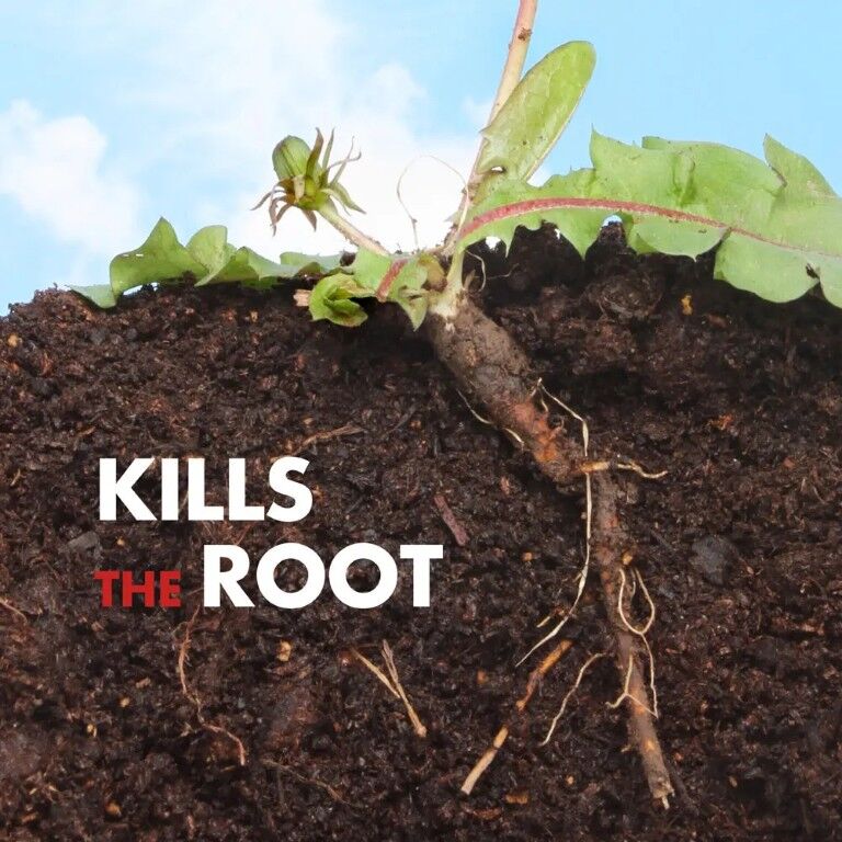 Spectracide Weed & Grass Killer, 32-Oz