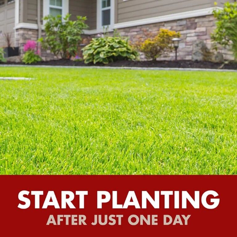 Spectracide Weed & Grass Killer, 32-Oz