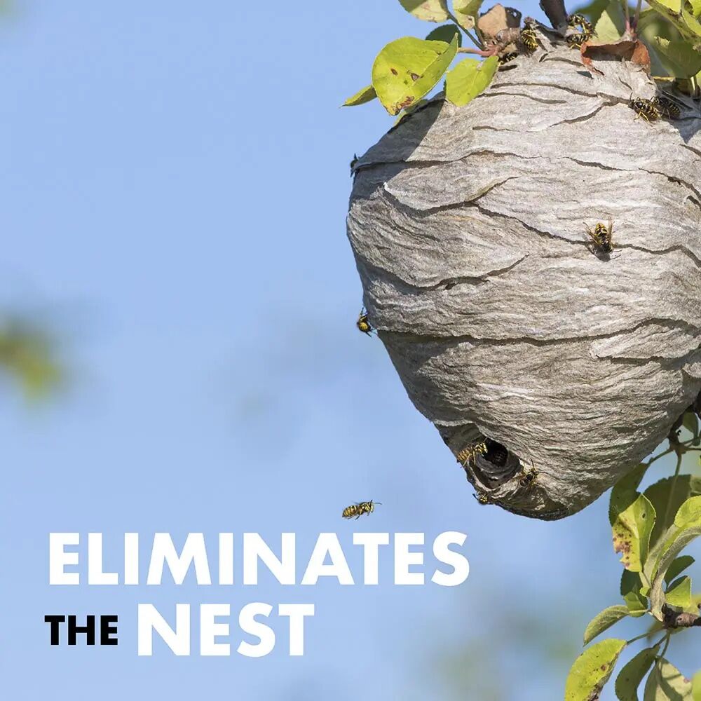 Spectracide Wasp & Hornet Killer, 18.5-Oz