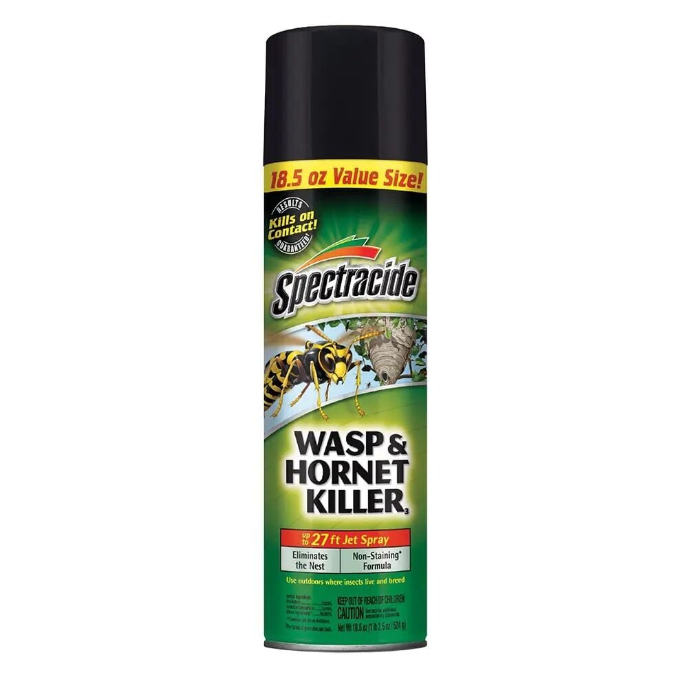 Spectracide Wasp & Hornet Killer, 18.5-Oz