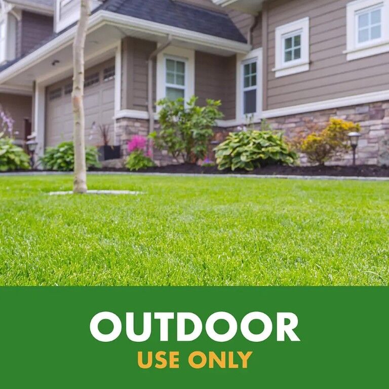 Spectracide Wasp & Hornet Killer, 18.5-Oz