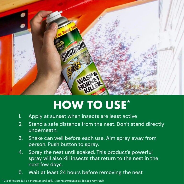 Spectracide Wasp & Hornet Killer, 18.5-Oz