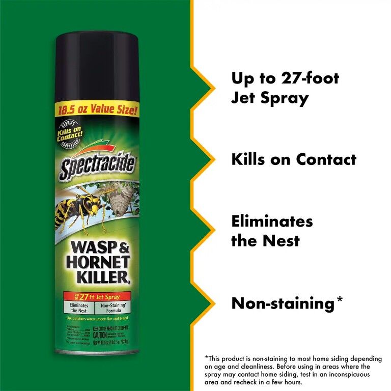 Spectracide Wasp & Hornet Killer, 18.5-Oz