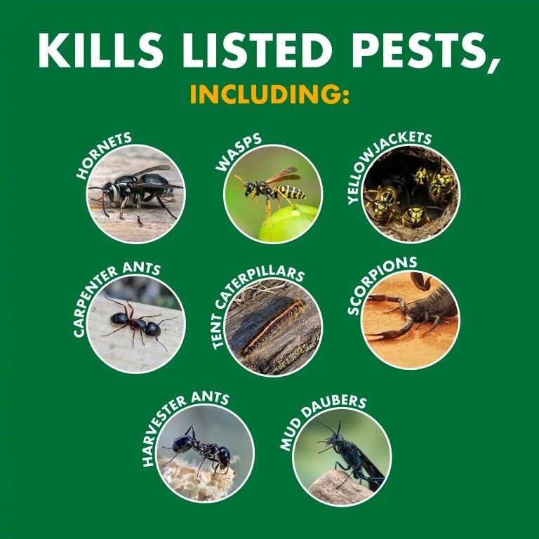 Spectracide Wasp & Hornet Killer, 18.5-Oz