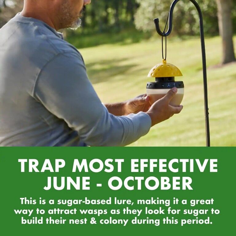 Spectracide Wasp, Hornet, & Yellowjacket Trap