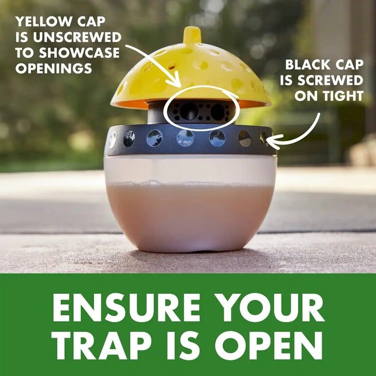 Spectracide Wasp, Hornet, & Yellowjacket Trap Refill