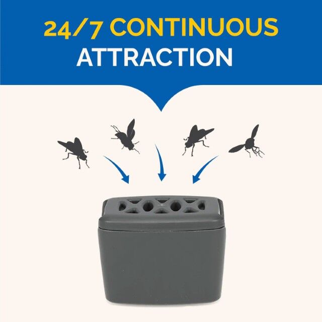 Hot Shot Flying Insect Trap, 2-Pk