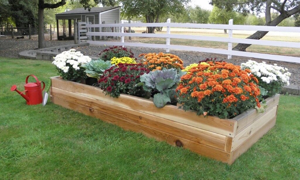 Real Wood Products Raised Bed Cedar Platner, 3-Ft x 6-Ft