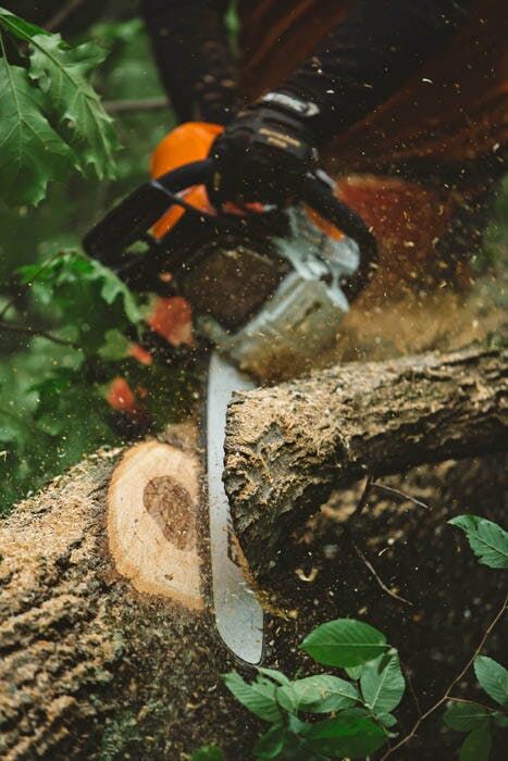 STIHL MS 462 C-M Gas Chainsaw, 25-In