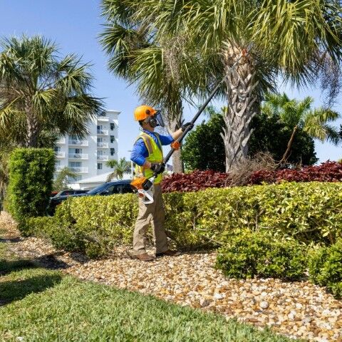 STIHL HT 131 Telescoping Gas Pole Prunner, 11 1/2-Ft