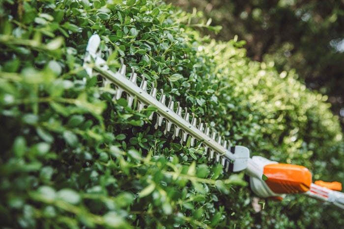 STIHL HLA 56 Battery Powered Extended-Reach Hedge Trimmer Kit, 18 in.