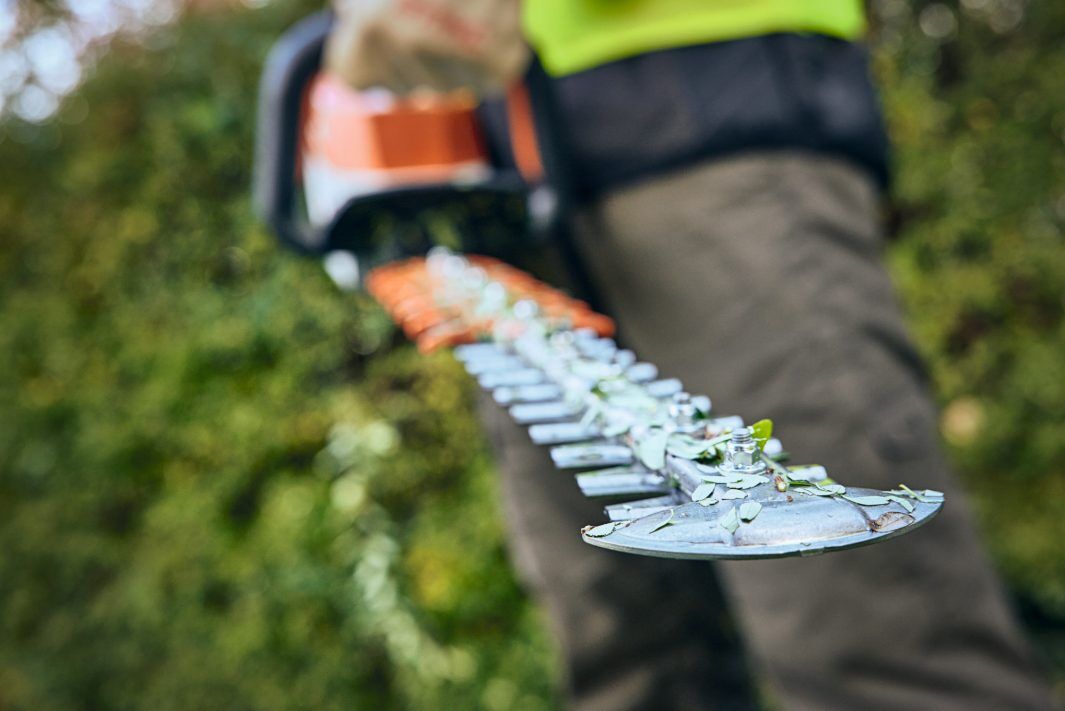 STIHL HSA 100 Battery Powered Hedge Trimmer (Tool Only)