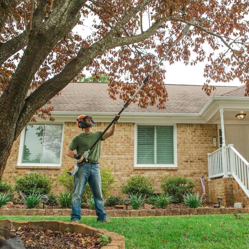 STIHL HTA 50 Battery Powered Pole Saw With Battery And Charger