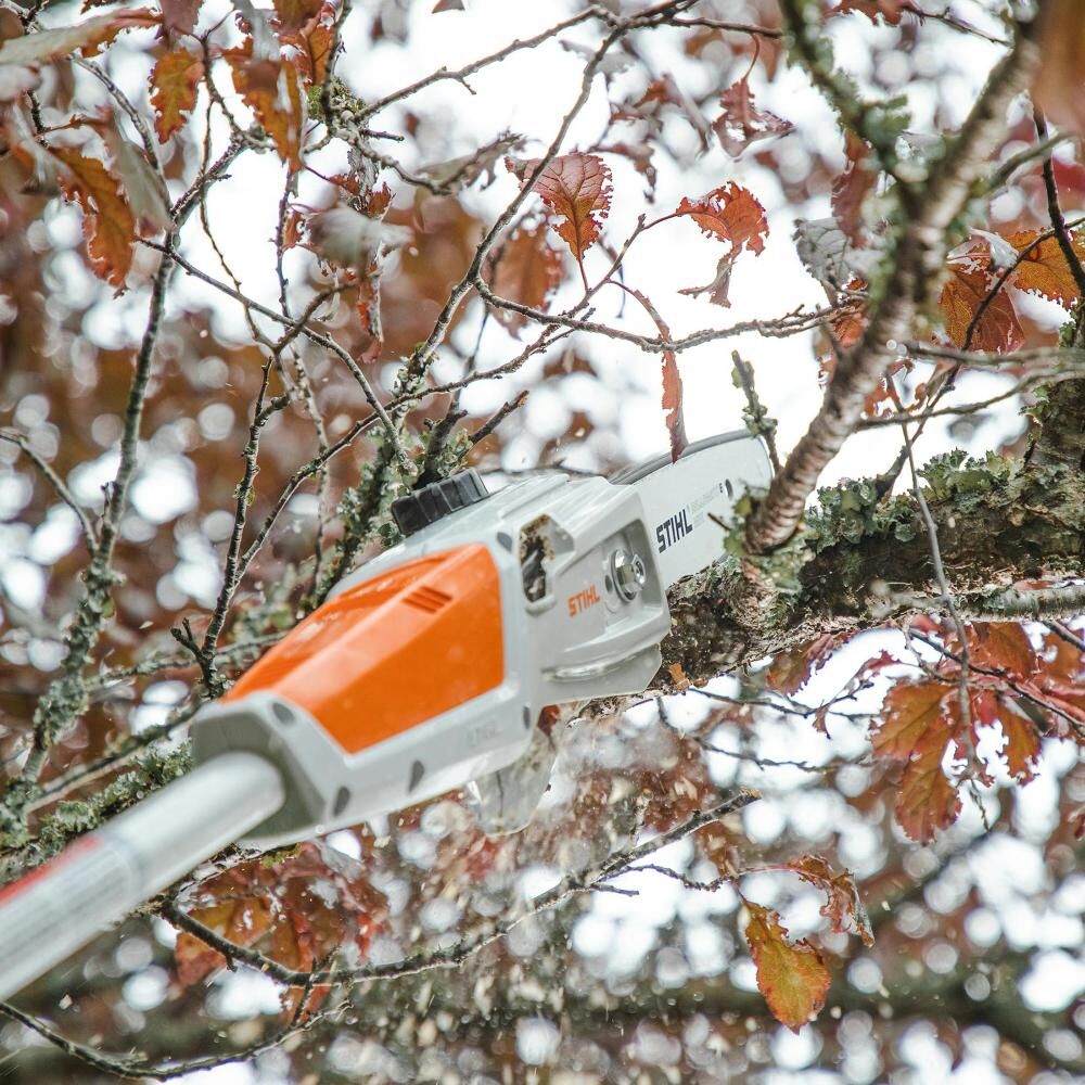 STIHL HTA 50 Battery Powered Pole Saw With Battery And Charger