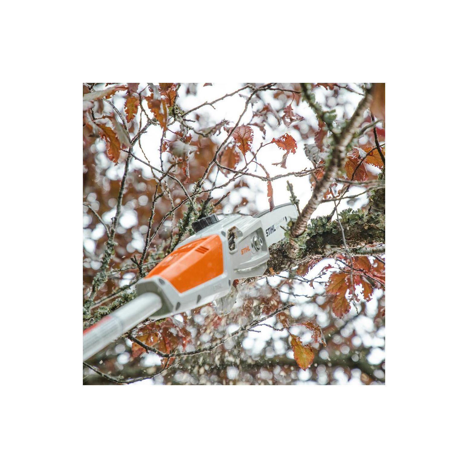 STIHL HTA 50 Battery Powered Pole Saw With Battery And Charger