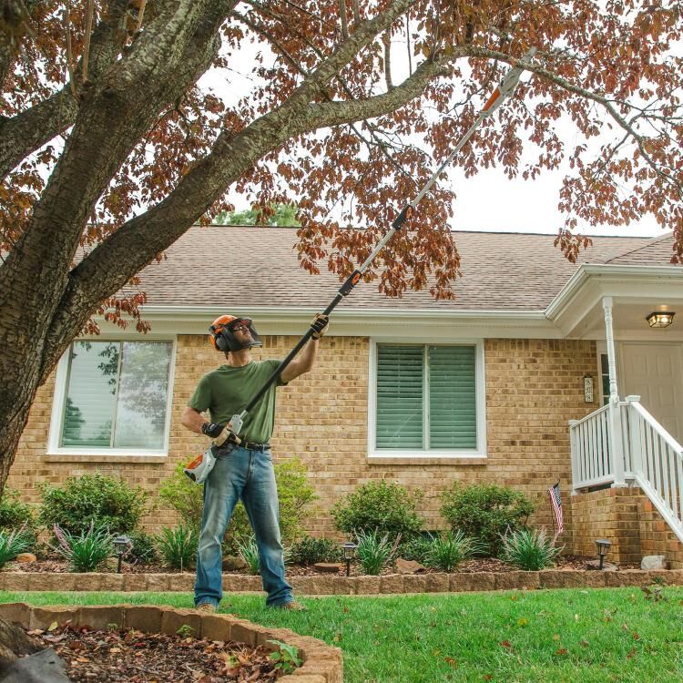 STIHL HTA 50 Battery Powered Pole Saw (Tool Only)