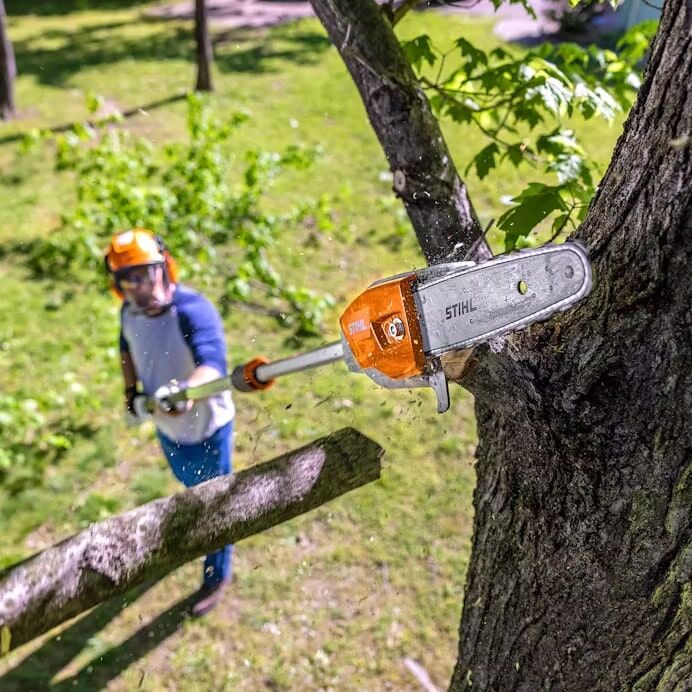 STIHL HTA 86 Cordless Pole Pruner