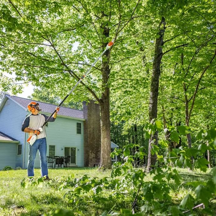 STIHL HTA 86 Cordless Pole Pruner