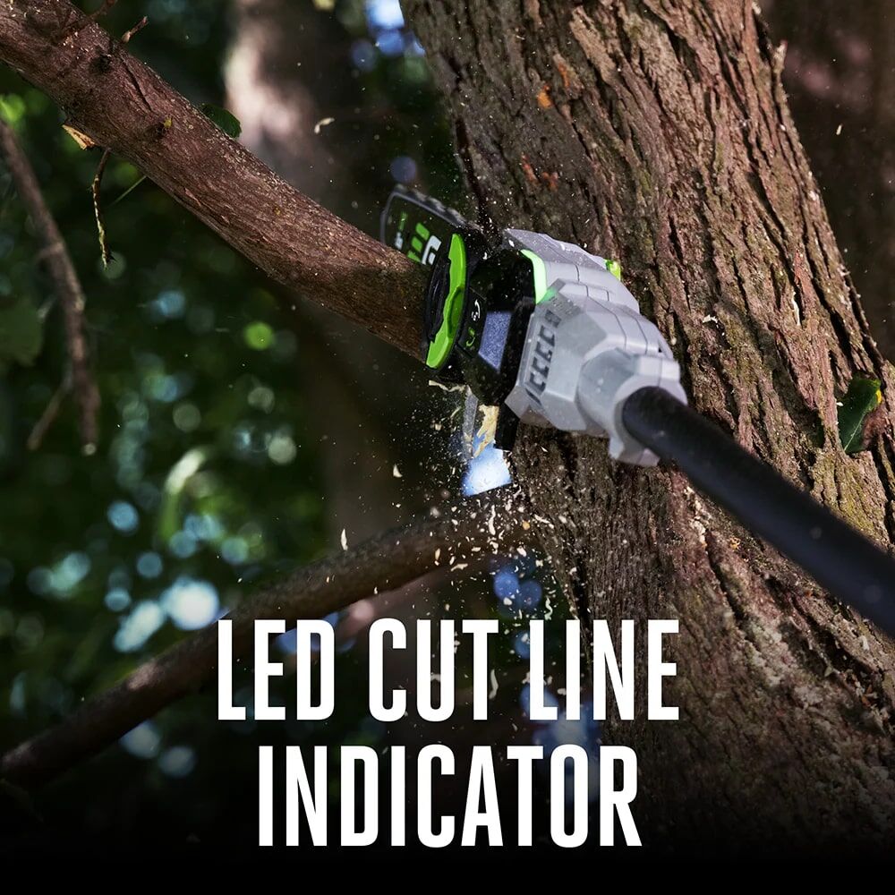 EGO POWER+ 10-In Telescopic Pole Saw Kit