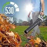 Ego Power String Trimmer 15-In & Blower 530 CFM Combo Kit