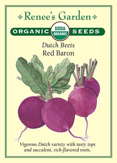Renee's Garden Dutch Beets Red Baron Seeds