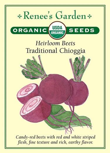 Renee's Garden Heirloom Beets Traditional Chioggia Seeds