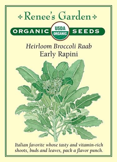 Renee's Garden Heirloom Broccoli Raab Early Rapini Seeds